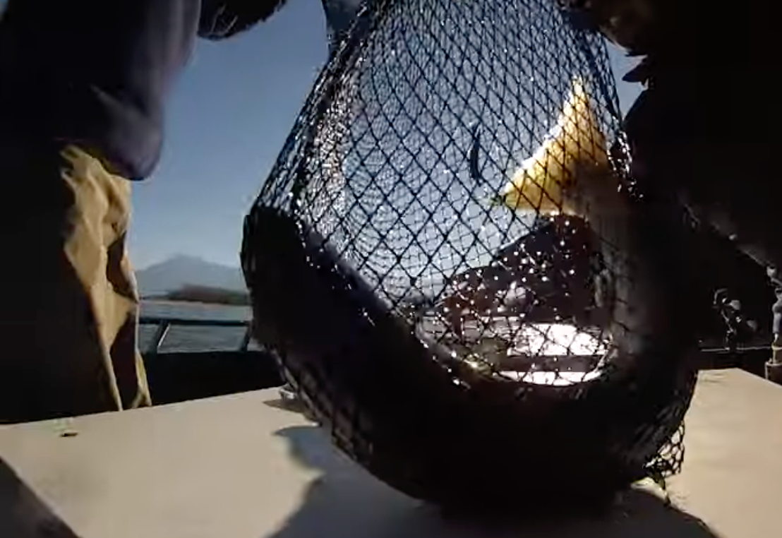 Float Fishing Jigs for Chum Salmon
