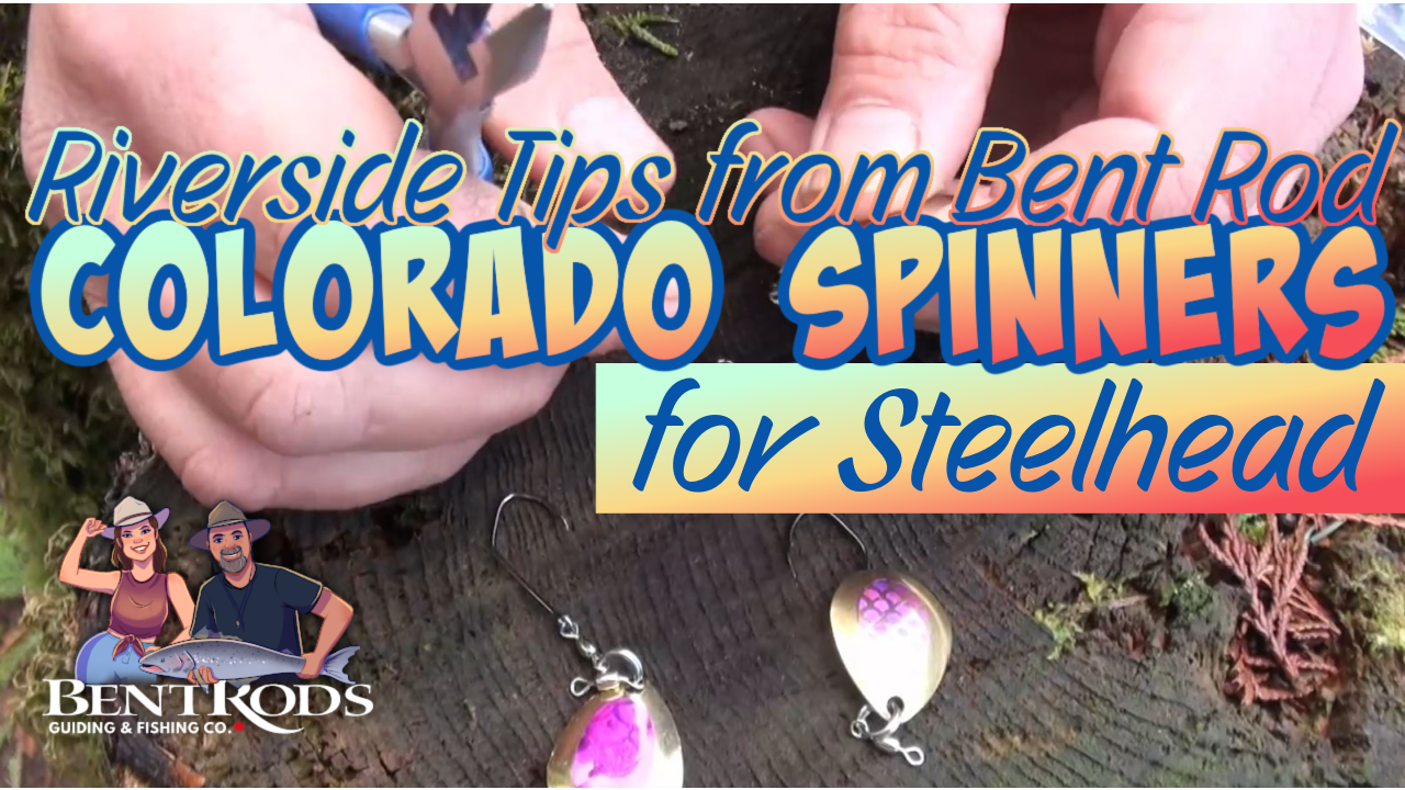 Fishing Colorado Spinners for Steelhead, Riverside Tips