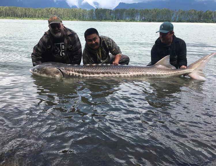 Fraser River- Early Spring Sturgeon Fishing
