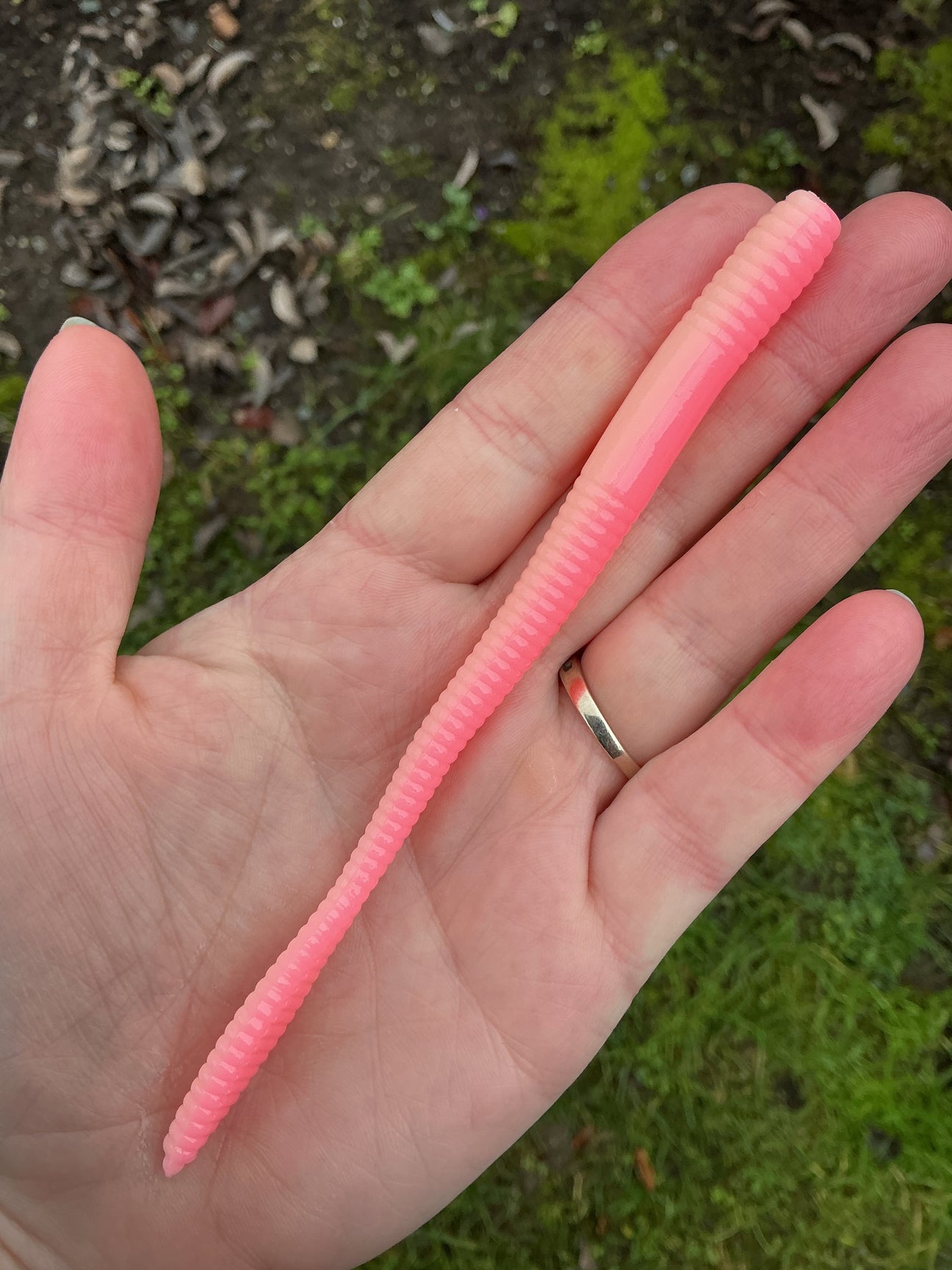 Axolotl Half Half Colour Length Wise- Viper Tail Worm
