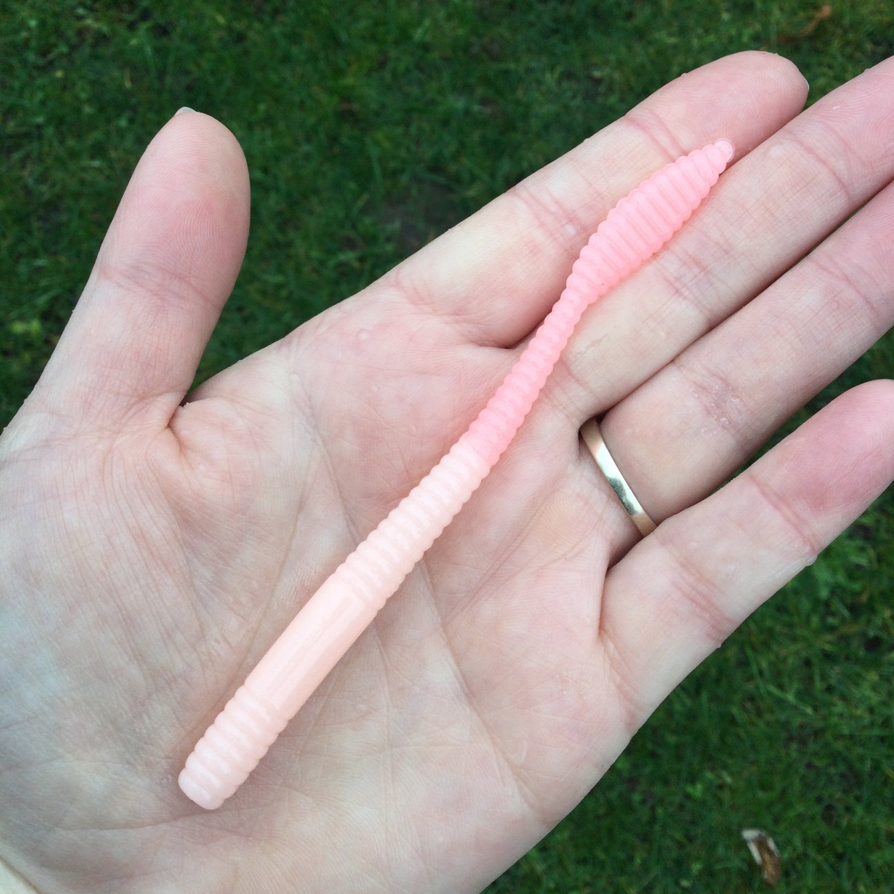 Axolotl- Viper Tail Worm