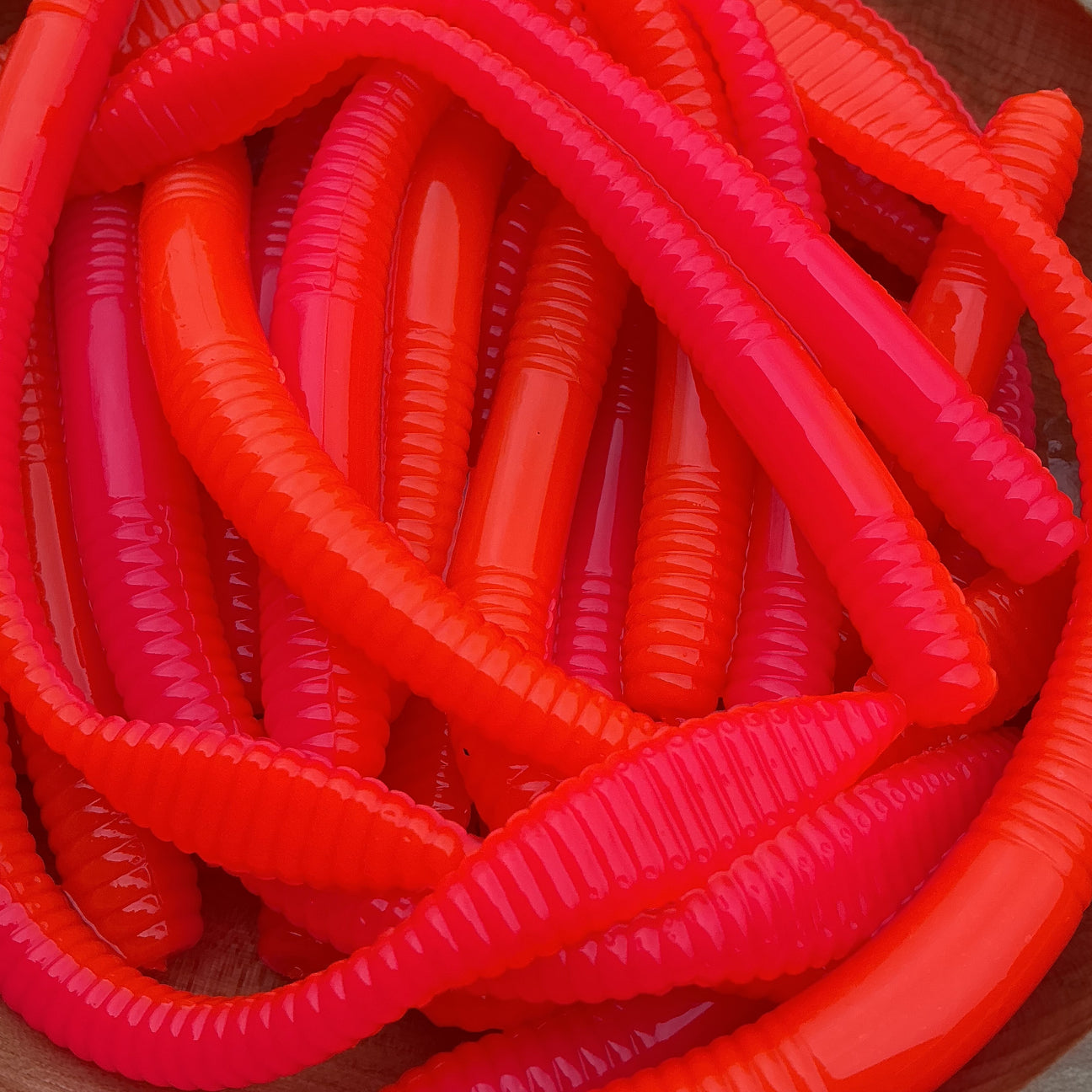 BINGO Half Half Colour Length Wise- Viper Tail Worm